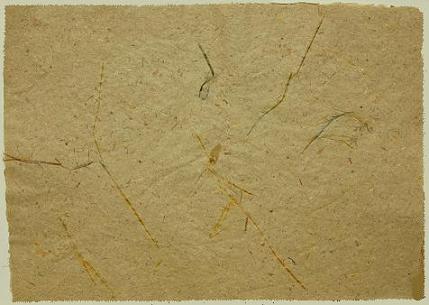 Indipaper - rice straw (rice straw)